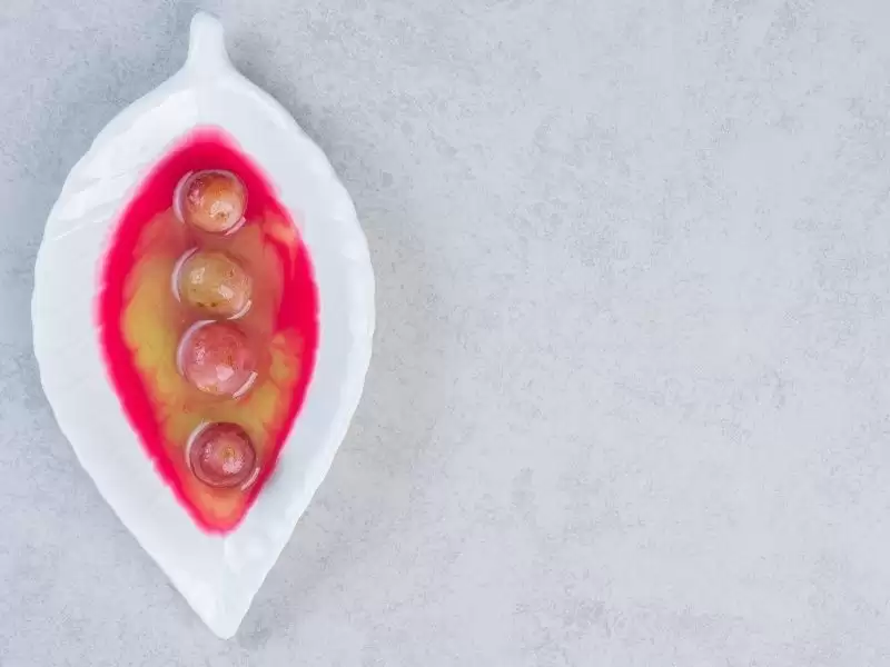 Vulva (Dış Genital Bölge) Hastalıkları