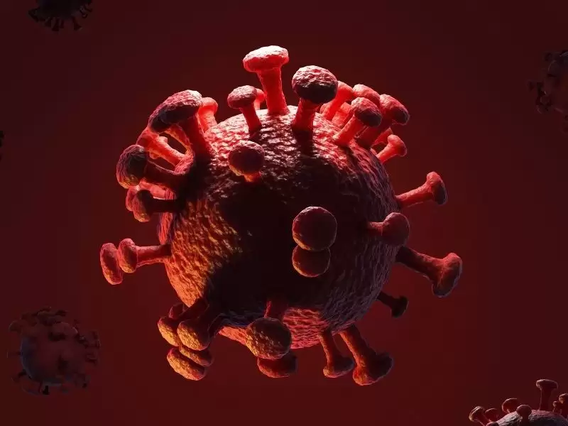 HPV Virüsü Pozitif Çıktıktan Sonra Ne Yapılmalı?