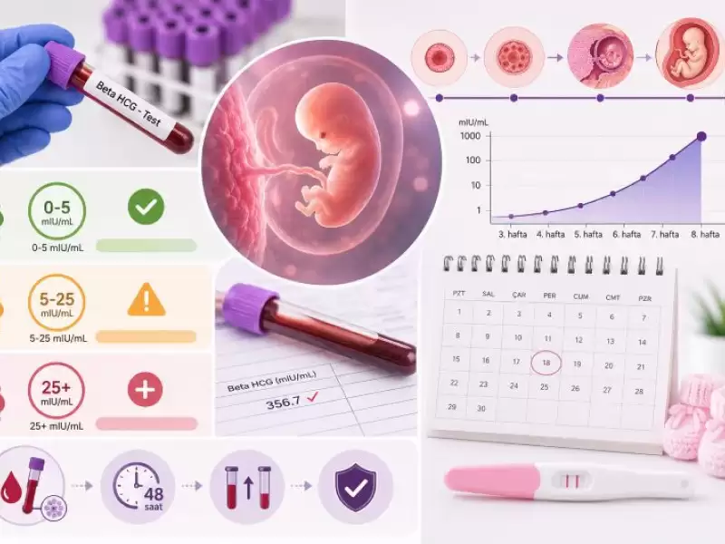 Beta HCG Değerleri Nasıl Yorumlanır?